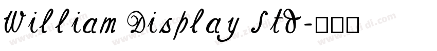 William Display Std字体转换